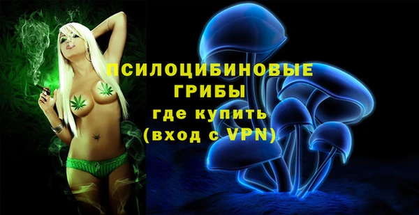 хмурый Нижний Тагил