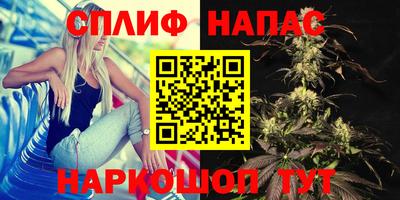 PSILOCYBIN Беслан