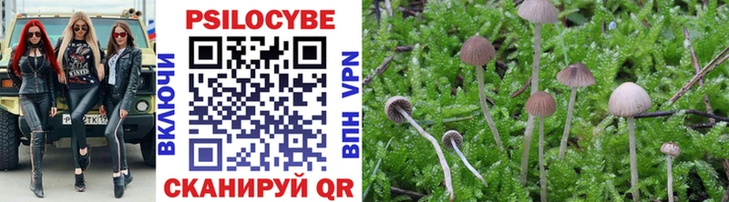 закладка  Гусь-Хрустальный  darknet клад  Галлюциногенные грибы мухоморы 