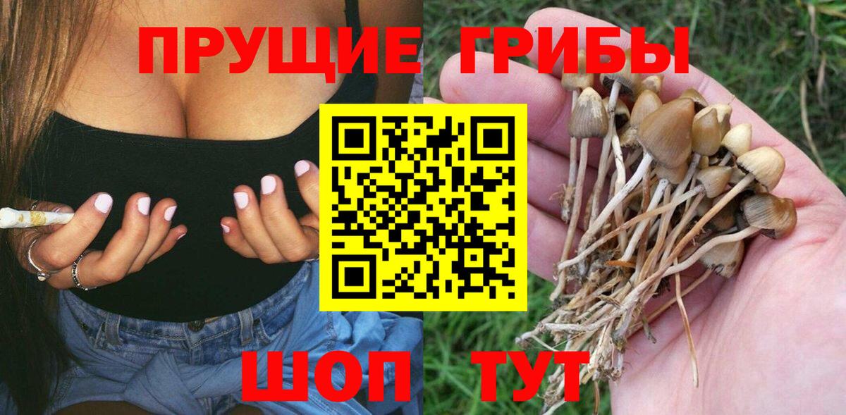 Псилоцибиновые грибы Cubensis  Гусь-Хрустальный 