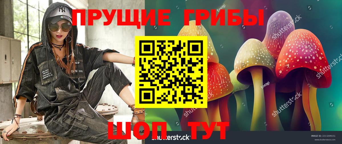 Галлюциногенные грибы Psilocybe  Псилоцибиновые грибы Psilocybine cubensis  Вход с VPN  Гусь-Хрустальный 