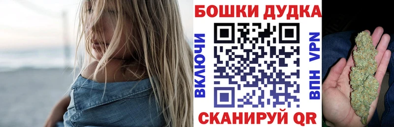 Бошки Шишки ГИДРОПОН  Гусь-Хрустальный 